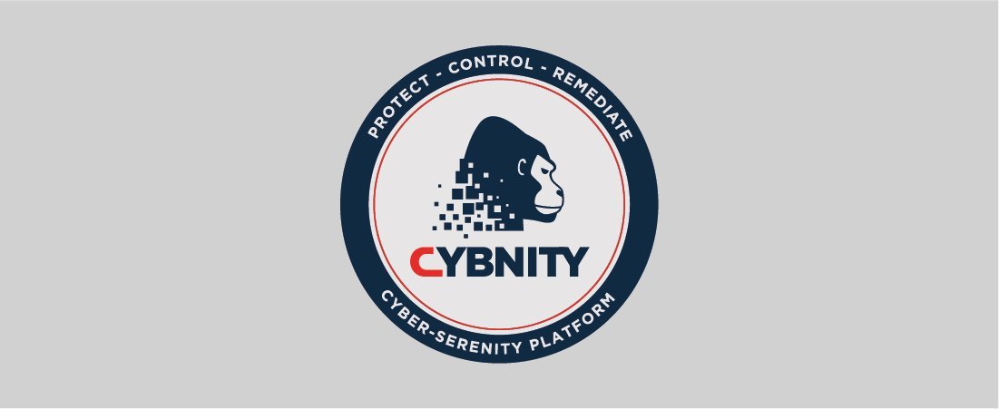 Identité visuelle Cybnity — direction artistique B2B Paris