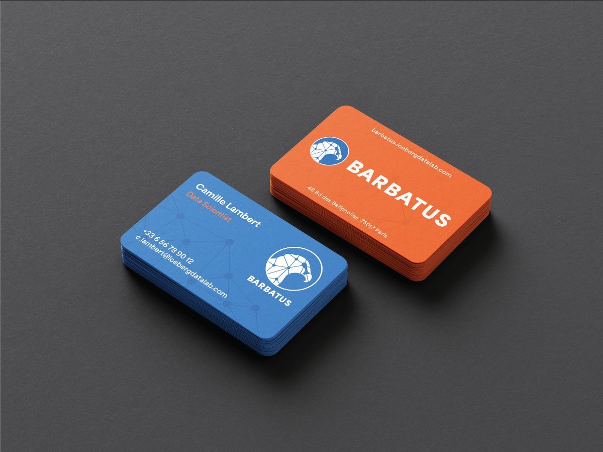 Barbatus AI visual identity — brand designer in Paris