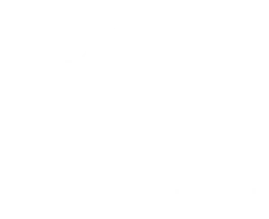 Iceberg Data Lab